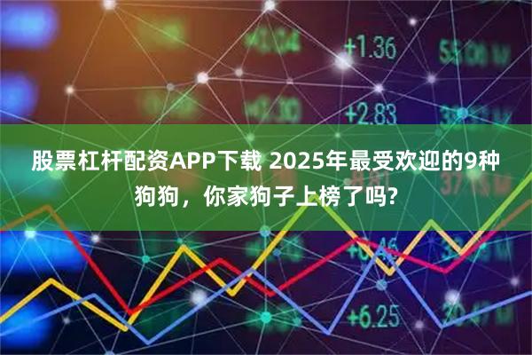 股票杠杆配资APP下载 2025年最受欢迎的9种狗狗，你家狗子上榜了吗?