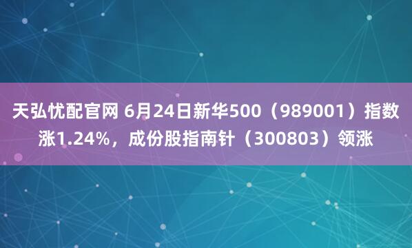 天弘忧配官网 6月24日新华500（989001）指数涨1.24%，成份股指南针（300803）领涨
