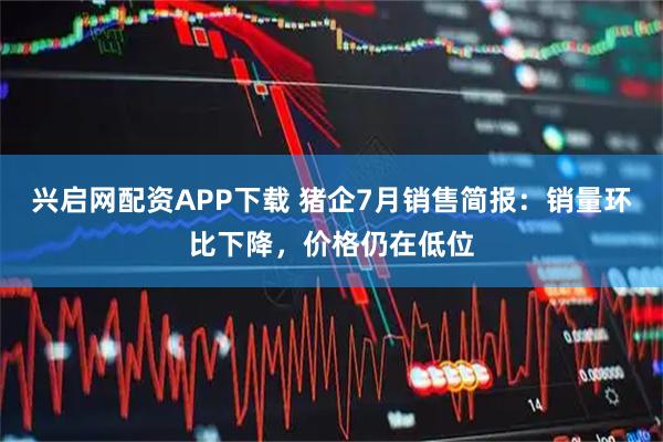 兴启网配资APP下载 猪企7月销售简报：销量环比下降，价格仍在低位